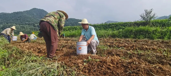 永利集团·yl(中国游)官方网站